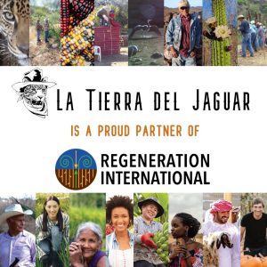 regeneration international